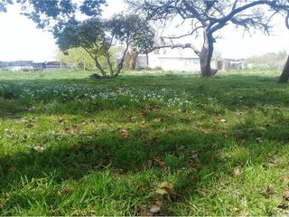 Foto 15 de Terreno en venta - 3416mts2  - Villa Elvira, La Plata