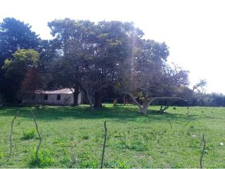 Foto 41 de Terreno en venta - 3416mts2  - Villa Elvira, La Plata