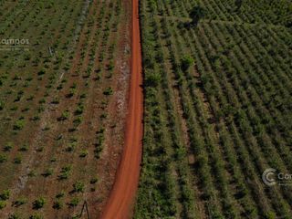 Foto 3 de Se Vende Chacra con Yerba EN COLONIA NARANJITO MISIONES 31 HA