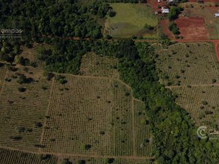 Foto 5 de Se Vende Chacra con Yerba EN COLONIA NARANJITO MISIONES 31 HA