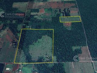Foto 9 de Se Vende Chacra con Yerba EN COLONIA NARANJITO MISIONES 31 HA