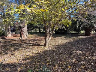 Foto 17 de Alquiler Vacacional - Casa  - Barrio Parque Sakura - Exaltación de la Cruz
