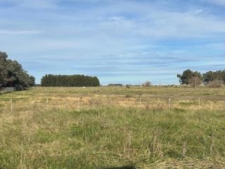 Foto 9 de Terreno en venta - 13.300Mts2 - San Miguel del Monte