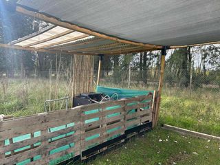 Foto 3 de Terreno en venta - 13.300Mts2 - San Miguel del Monte