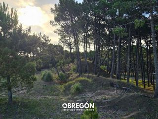 Foto 35 de Duplex en Alquiler en Pinamar - Verano 2024