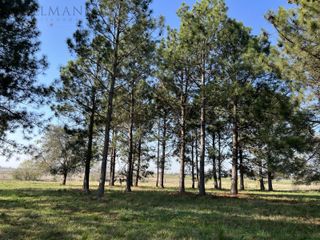 Foto 31 de Venta Lote en Pilara Barrio Tilbury