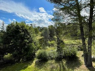 Foto 6 de Venta Campo 5Ha San Clemente