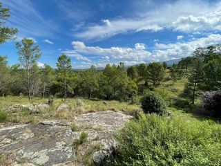 Foto 4 de Venta Campo 5Ha San Clemente