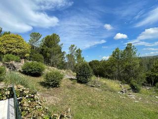 Foto 5 de Venta Campo 5Ha San Clemente