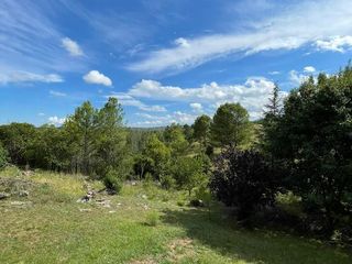 Foto 3 de Venta Campo 5Ha San Clemente