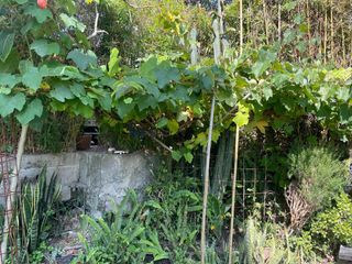 Foto 18 de Casa en  Renta Prados de Tanda