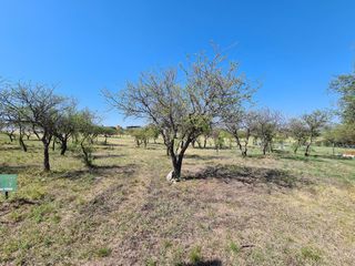 Foto 6 de Los 2 Mejores Lotes del Alta Gracia Country Golf