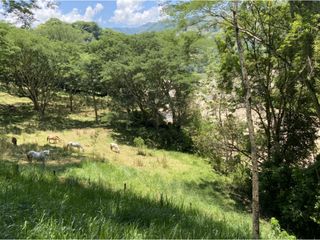 Foto 16 de Venta de lote en Bolombolo - Suroeste Antioqueño