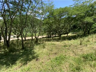 Foto 12 de Venta de lote en Bolombolo - Suroeste Antioqueño