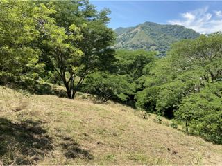 Foto 7 de Venta de lote en Bolombolo - Suroeste Antioqueño
