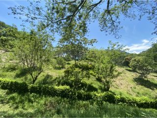 Foto 3 de Venta de lote en Bolombolo - Suroeste Antioqueño