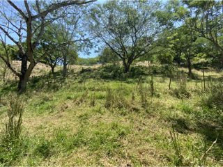 Foto 17 de Venta de lote en Bolombolo - Suroeste Antioqueño