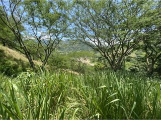 Foto 8 de Venta de lote en Bolombolo - Suroeste Antioqueño