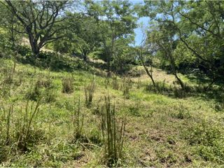 Foto 14 de Venta de lote en Bolombolo - Suroeste Antioqueño