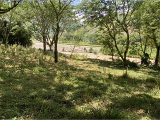 Foto 13 de Venta de lote en Bolombolo - Suroeste Antioqueño