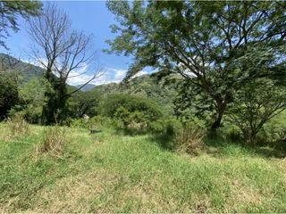 Foto 15 de Venta de lote en Bolombolo - Suroeste Antioqueño