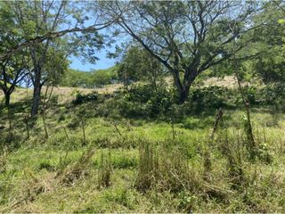 Foto 11 de Venta de lote en Bolombolo - Suroeste Antioqueño