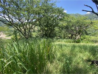 Foto 9 de Venta de lote en Bolombolo - Suroeste Antioqueño