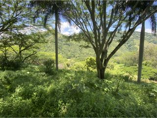 Foto 6 de Venta de lote en Bolombolo - Suroeste Antioqueño