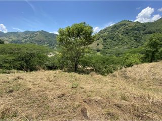 Foto 5 de Venta de lote en Bolombolo - Suroeste Antioqueño