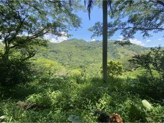 Foto 4 de Venta de lote en Bolombolo - Suroeste Antioqueño