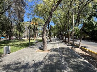 Foto 18 de Departamento en venta en San Martin