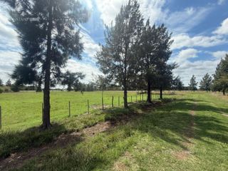 Foto 5 de Terreno en  