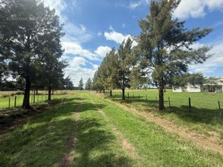 Foto 3 de Terreno en  