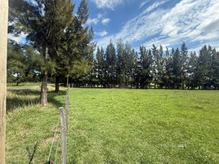 Foto 9 de Terreno en  