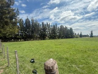 Foto 10 de Terreno en  