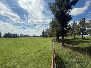 Foto 6 de Terreno en  