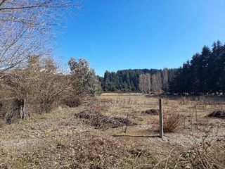 Foto 5 de Chacra - El Bolson