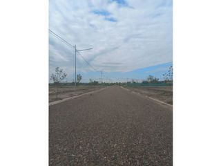 Foto 5 de LOTE- BARRIO PRIVADO ABEDUL- LUJAN DE CUYO