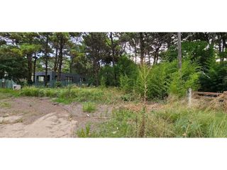 Foto 4 de TERRENO EN LOMAS DE VALERIA