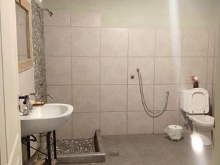 Foto 28 de Quinta en venta - 4 Dormitorios 2 Baños - Cochera - 150.000mts2 - San Rafael