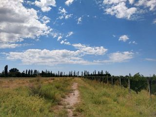 Foto 37 de Quinta en venta - 4 Dormitorios 2 Baños - Cochera - 150.000mts2 - San Rafael