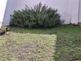 Foto 10 de Vendo casa USO OFICINAS - GERIATRICO -JARDIN INFANTIL -BOGOTA