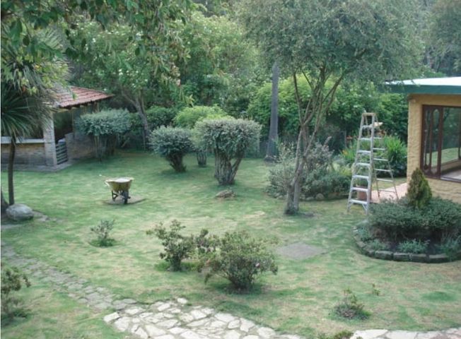 place photo 13