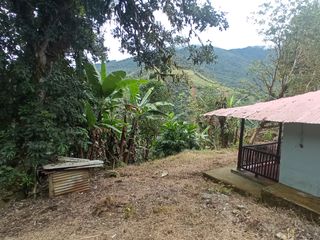 Foto 9 de Venta Finca En La Montaña Cerca Al Lago Calima