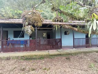 Foto 13 de Venta Finca En La Montaña Cerca Al Lago Calima