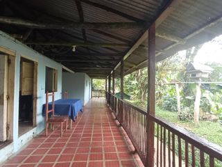 Foto 11 de Venta Finca En La Montaña Cerca Al Lago Calima