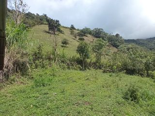 Foto 3 de Venta Finca En La Montaña Cerca Al Lago Calima