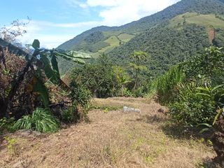 Foto 5 de Venta Finca En La Montaña Cerca Al Lago Calima