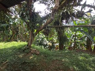 Foto 19 de Venta Finca En La Montaña Cerca Al Lago Calima