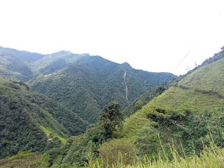 Foto 6 de Venta Finca En La Montaña Cerca Al Lago Calima